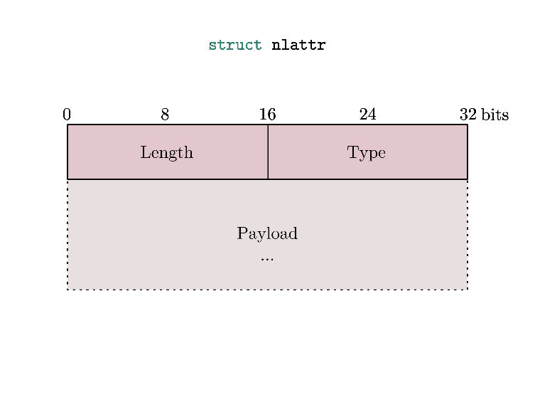 Figure 5. Struct of the Netlink attribute
